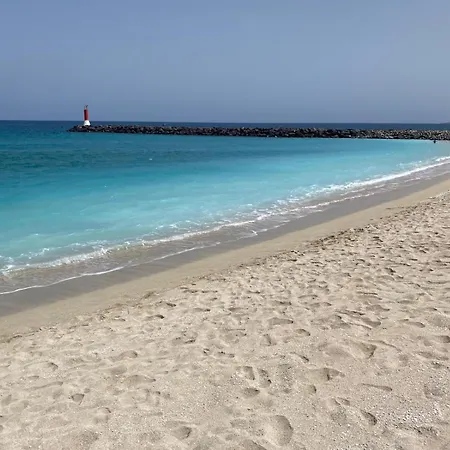 Daire Sinestesia Oceanica