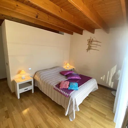 Daire Sinestesia Oceanica *