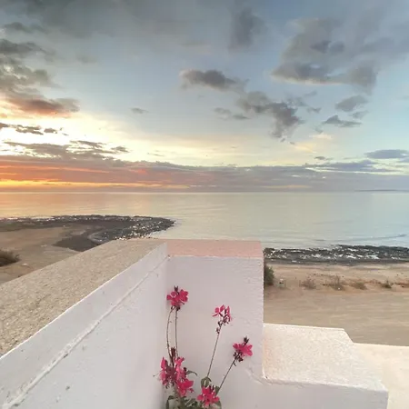 Daire Sinestesia Oceanica *